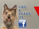 Click to the Vet Care Express Facebook page!